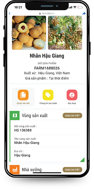 Mobile App 01