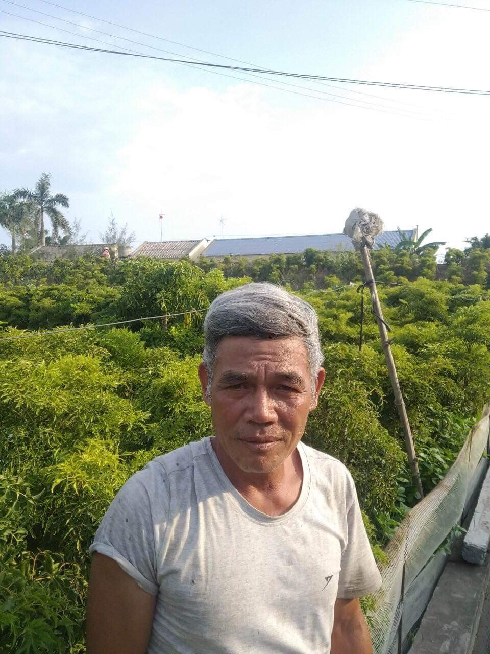 Nguyễn Văn Bằng