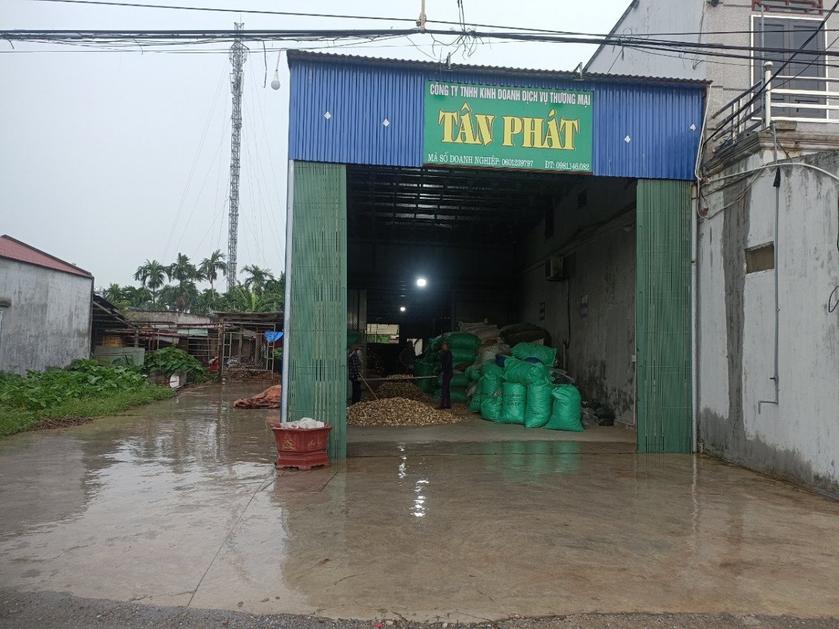 Nguyễn Thị Mị (Thị)