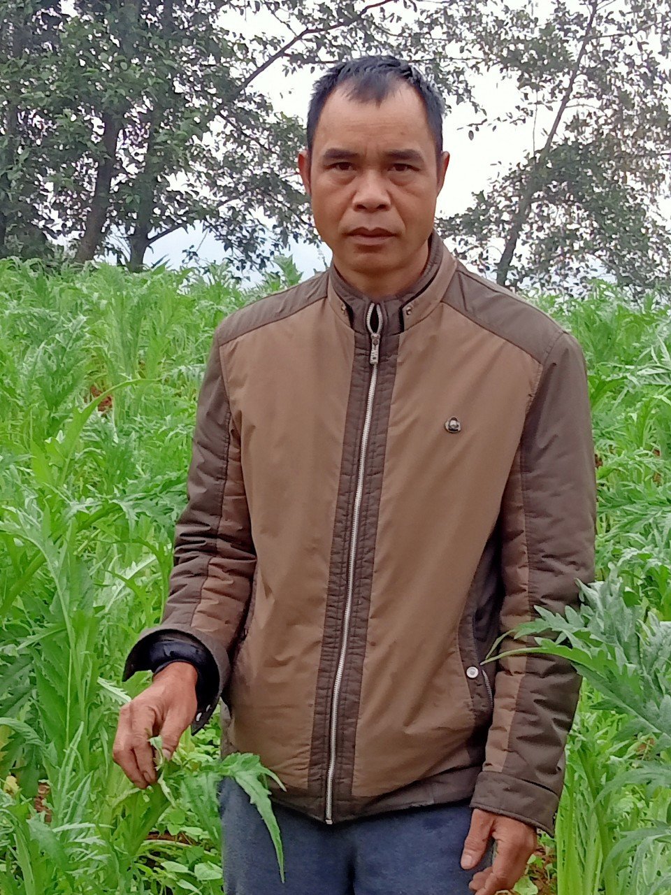 Nguyễn Văn Hải