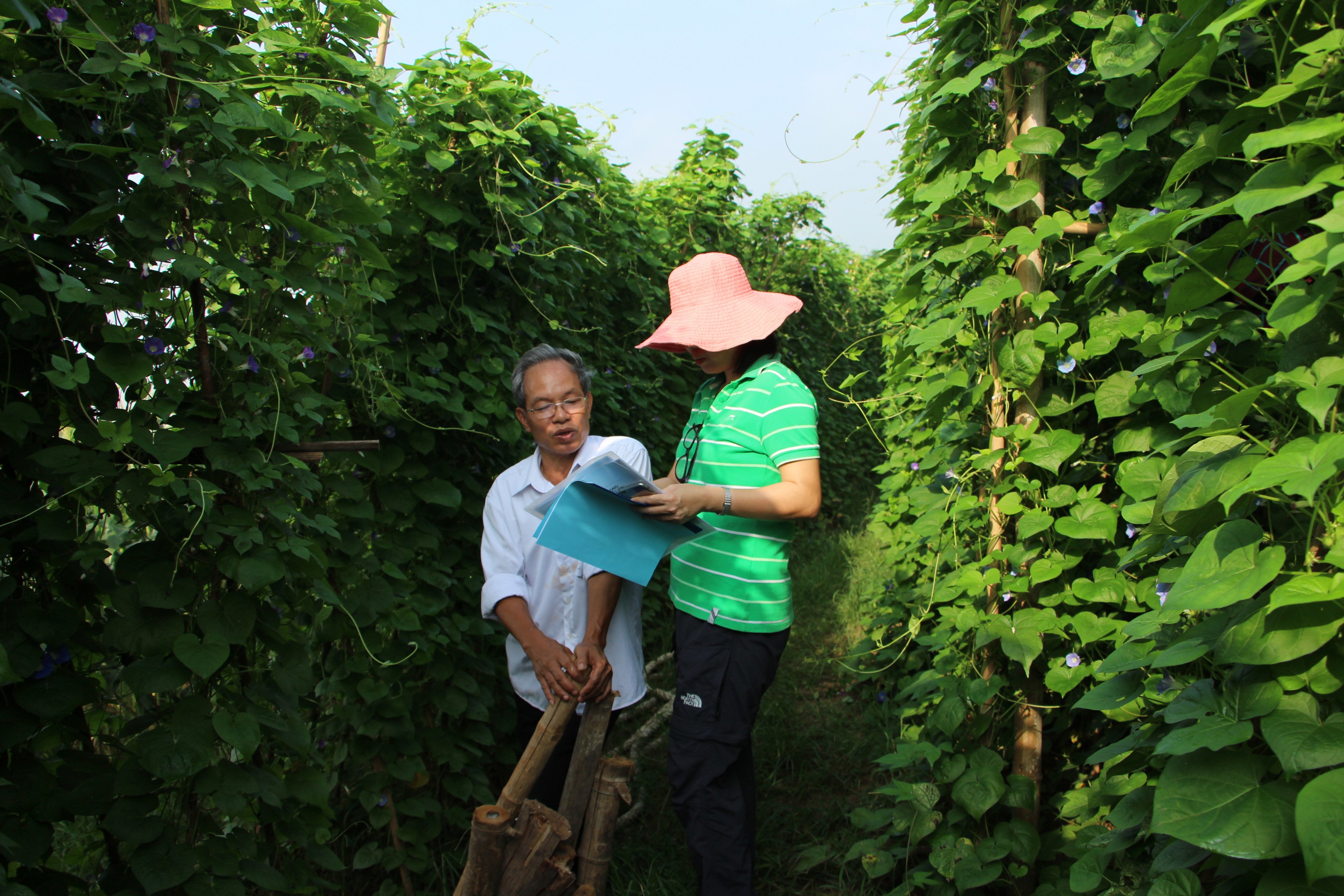 Hoàng Văn Tiến