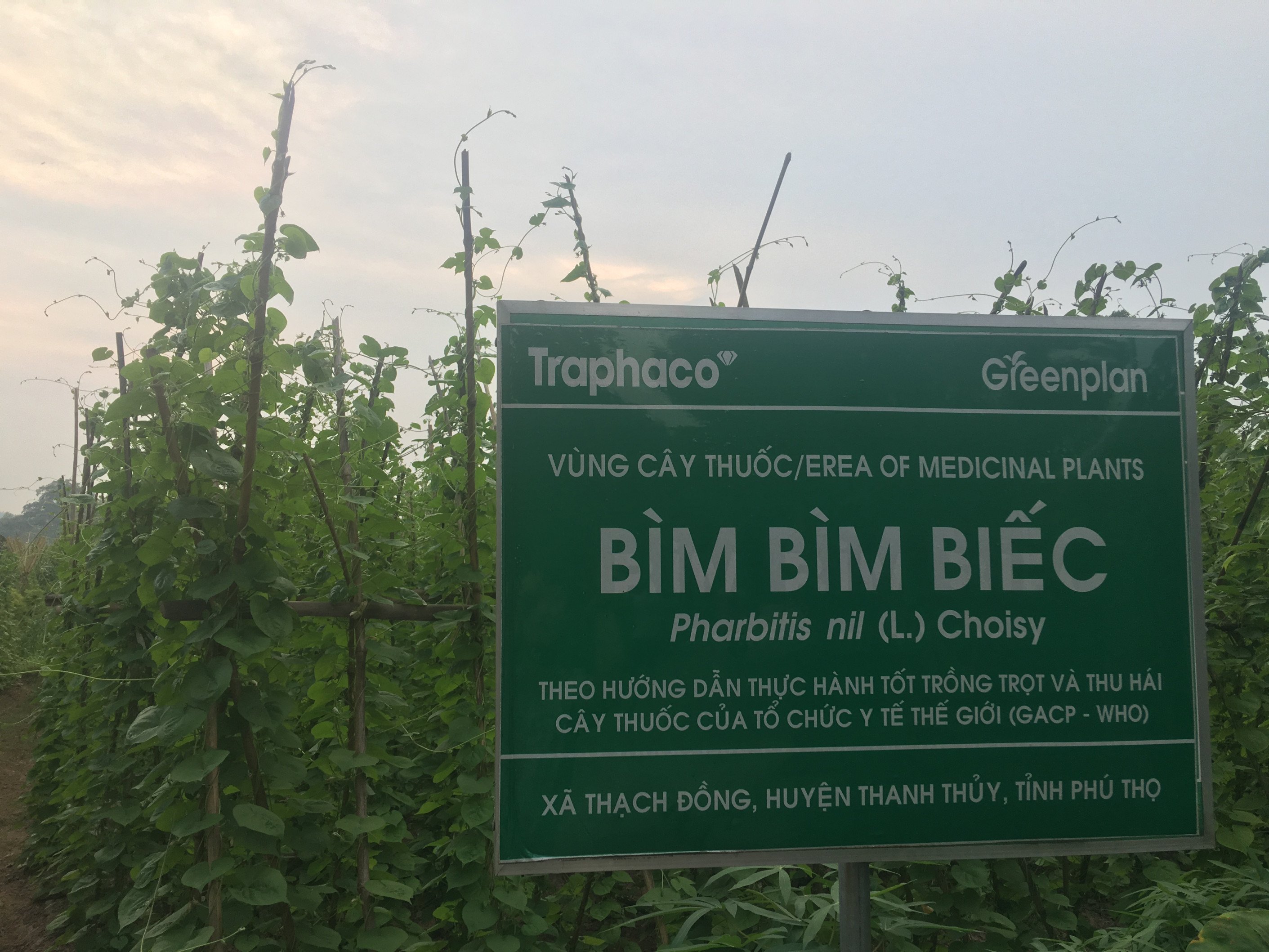 Lê Thị Hiền