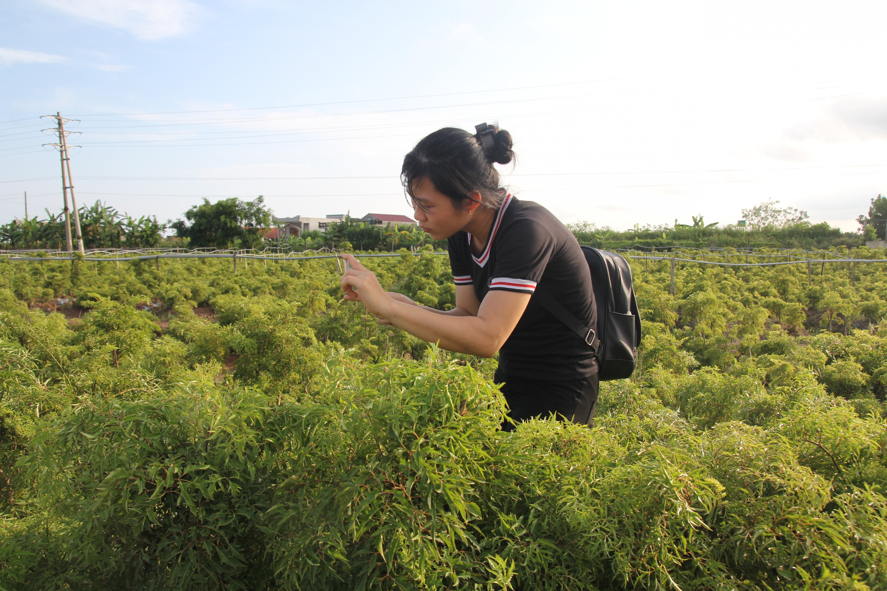 Trần Thị Kiệm