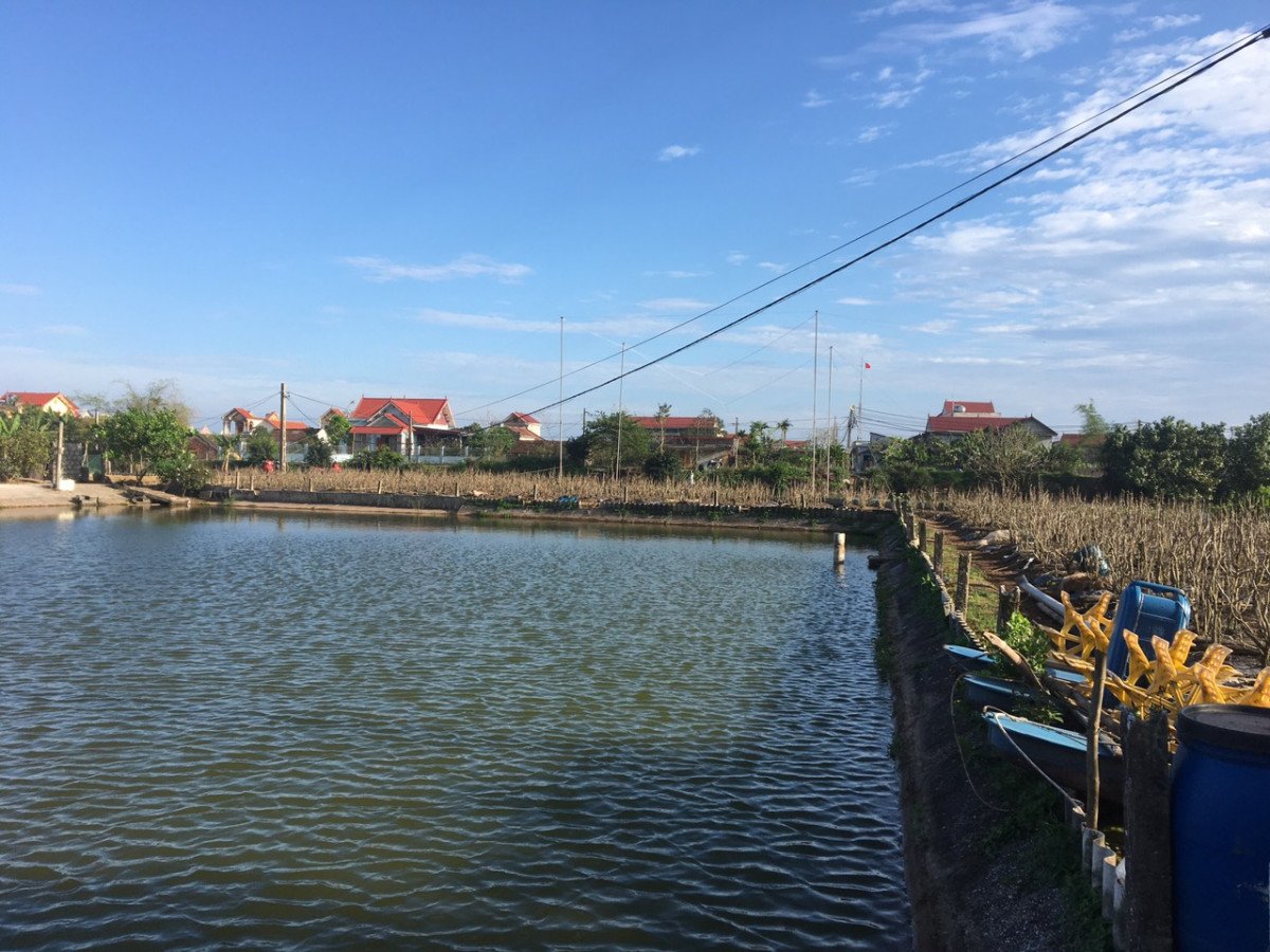 Ngô Văn Cường
